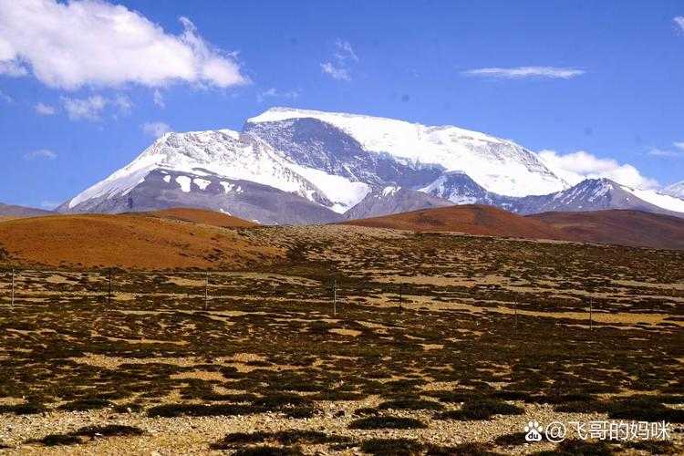 青藏高原的免疫屏障：波密县为何连续180日保持零新增？