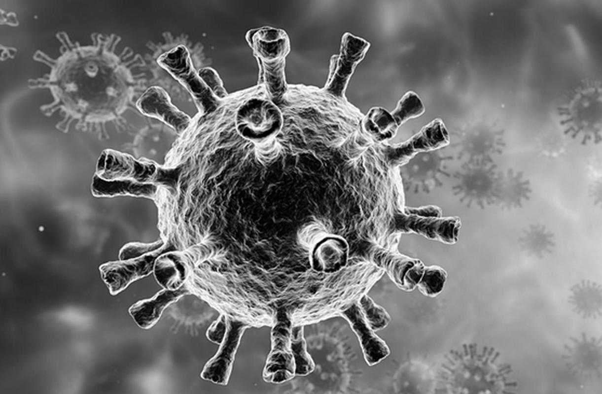 2020-2022贵州奥密克戎亚型防控要点及应对策略