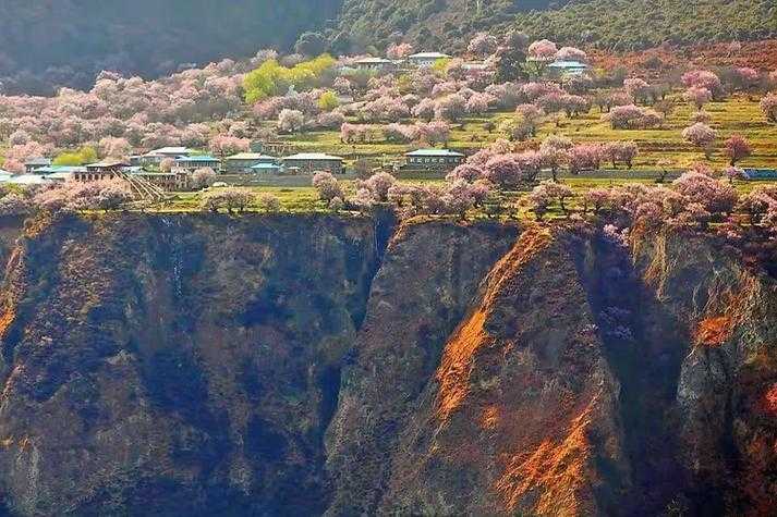 【31省份多点散发，辽宁盘山新增12例成防控焦点】