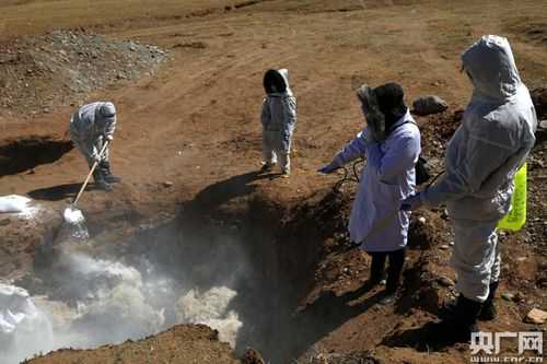 寻找全国唯一零感染县：青藏高原屏障下的防疫样本