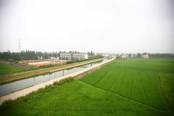 赣抚平原上的坚守：南城如何实现67天本土零新增