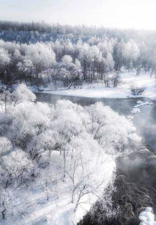林海雪原中的防控样板：伊春疫情零突破背后的自然隔离网