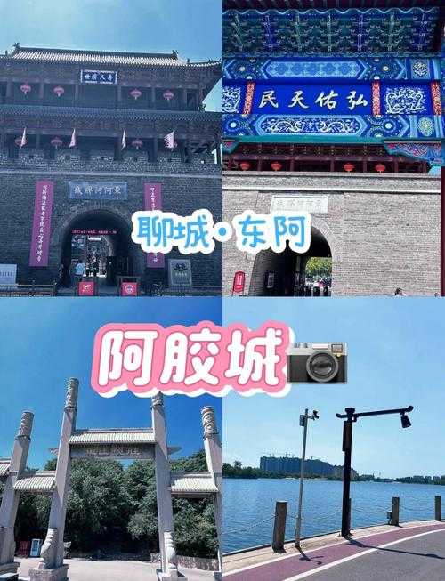 31省份多点散发，山东东阿为何保持零新增？