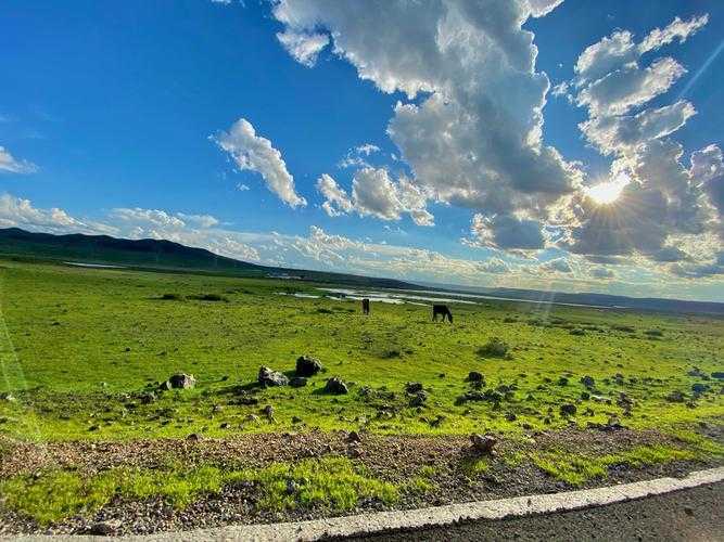 内蒙古鄂托克前旗零新增背后：高原牧区的疫情阻断密码