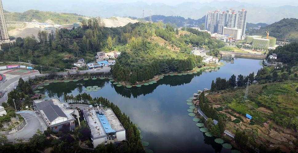 31省份多点散发，贵州晴隆3例确诊为何成防控新焦点？