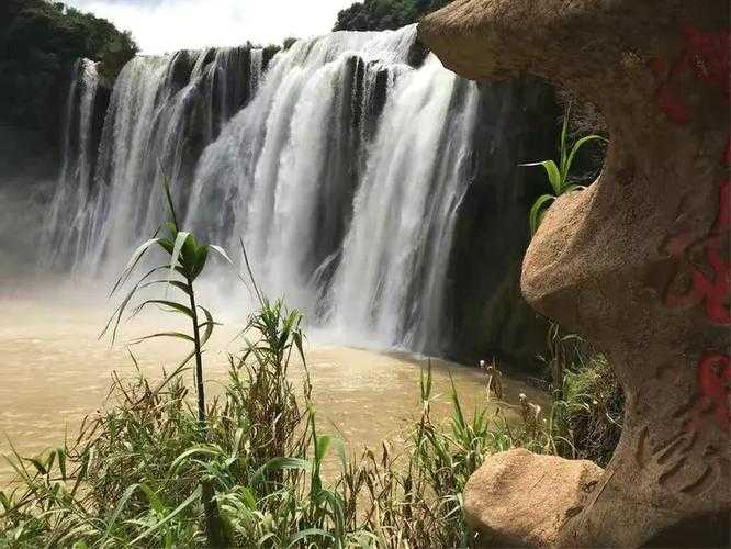 31省份多点散发，云南罗平5例为何成防控焦点？