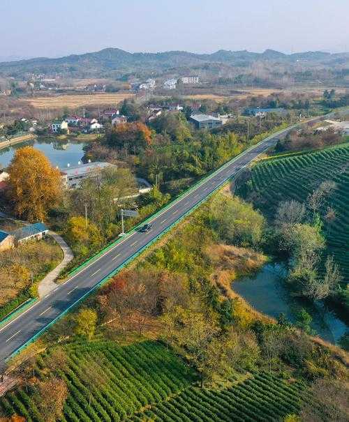 【长三角疫情新节点：郎溪县4例确诊暴露的防控盲区】