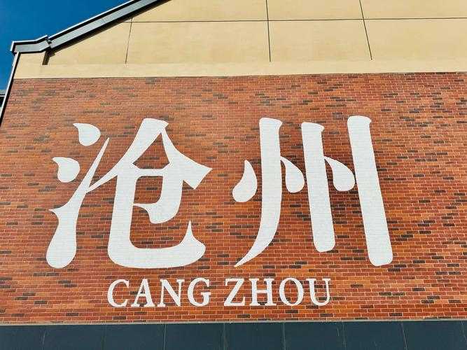 31省份多点散发，沧州15例如何守住京畿南大门？