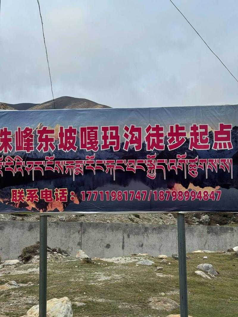 31省份多点散发，墨竹工卡县为何成西藏防疫新焦点？