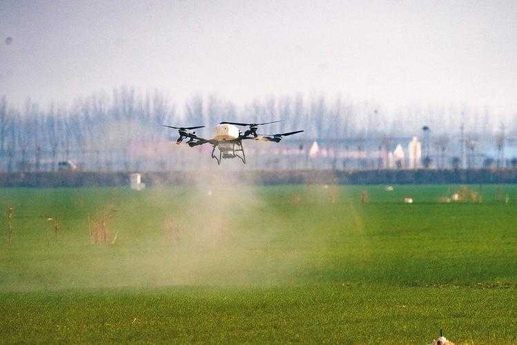 31省份多点散发，岭东区11例为何成防控焦点？