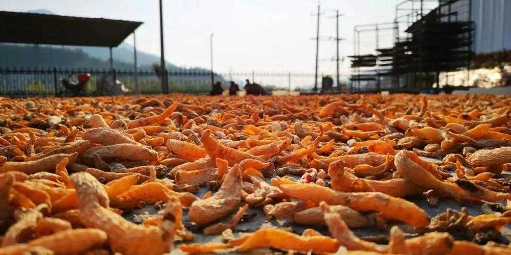 31省份多点散发，黄州区7例为何成防控焦点？