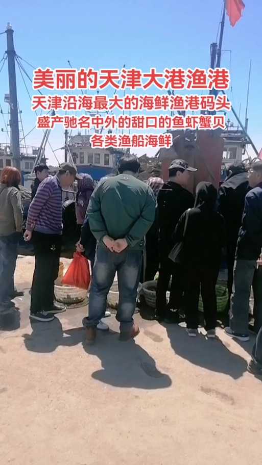 洞头区疫情突增8例，沿海渔港为何成防控薄弱点？