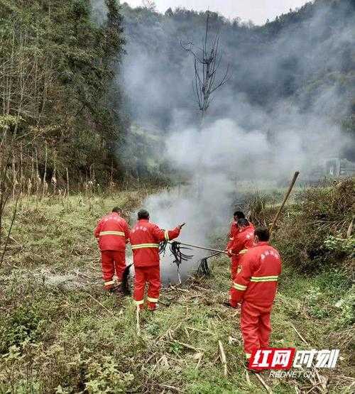 31省份多点散发，定远县5例如何守稳防控防线？