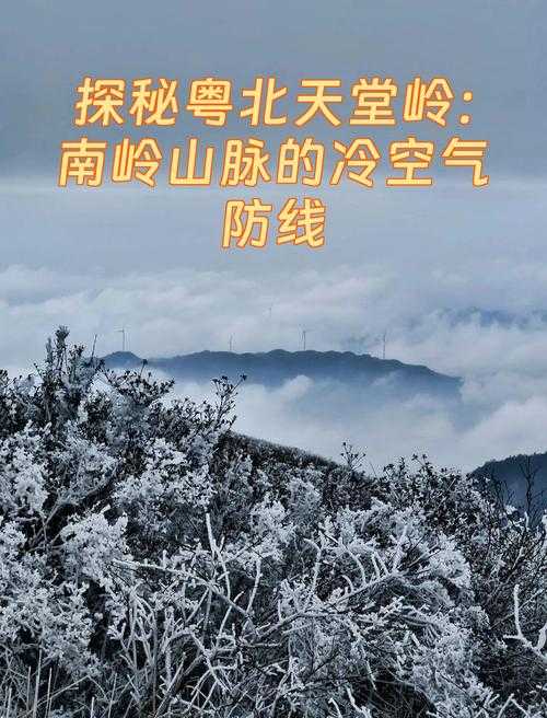 气候屏障下的防控密码：尖山区持续稳定数据背后的地理优势
