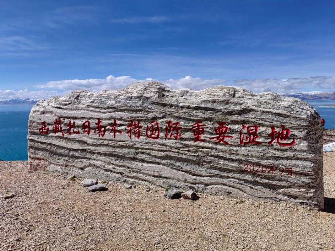 青藏高原上的防疫网：林周县零新增背后的地理密码