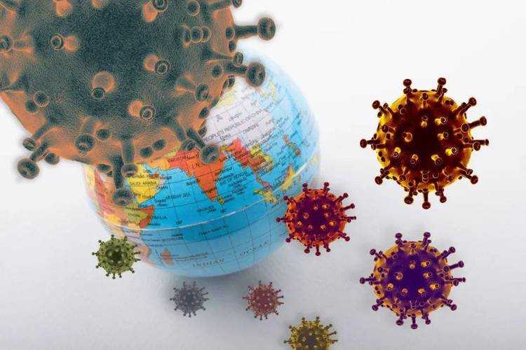 2022年奥密克戎亚型传播特性与防疫屏障构建策略