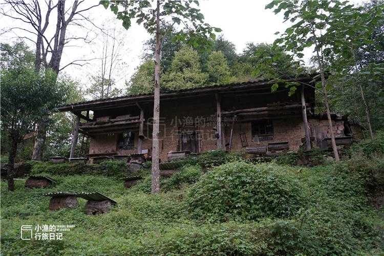 秦岭深处的防控暗流：岚皋县新增病例背后的地理链式反应