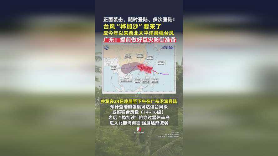 茂名日增5例引发广东波动：海陆通衢下的防疫新挑战