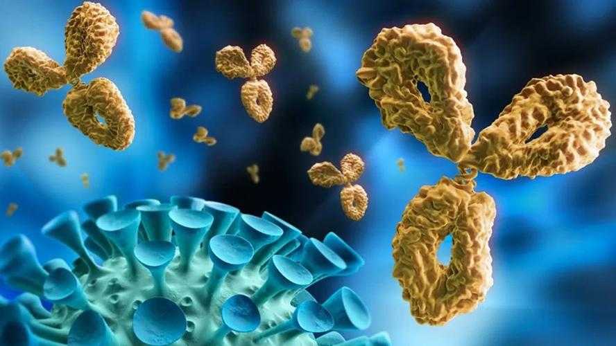 【2020-2022深圳新冠变异株致嗅觉减退应对策略】