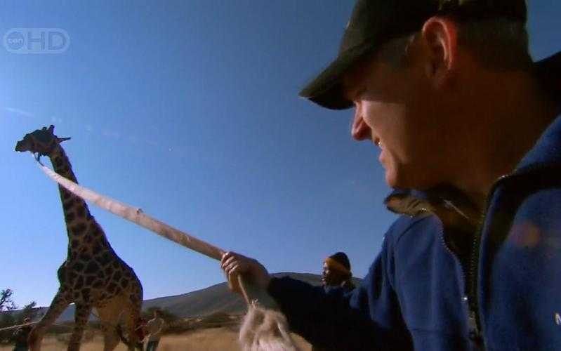 极寒之城的防疫神话：零确诊背后藏着什么地理密码？