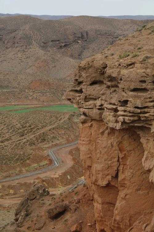 甘肃平凉：黄土高原深处的“免疫孤岛”