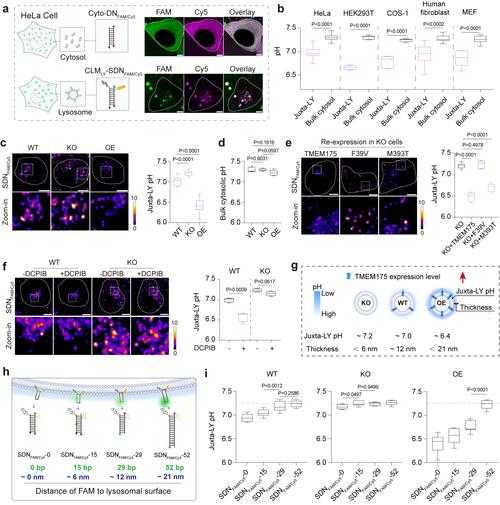 2020-2022年杭州新冠变异株防疫屏障构建与突破分析