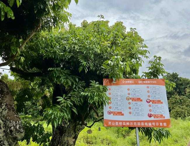 【南方热土的防控难点：港南区疫情反弹背后的区域挑战】