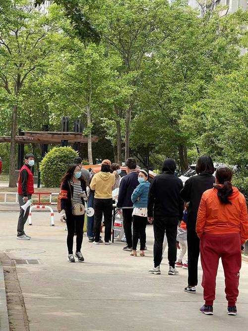 31省份多点散发，莲池区5例为何成防控焦点？