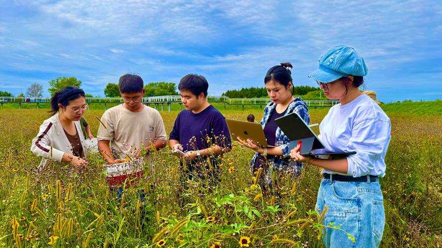 31省份多点散发，铁力市7例折射东北防疫新变数