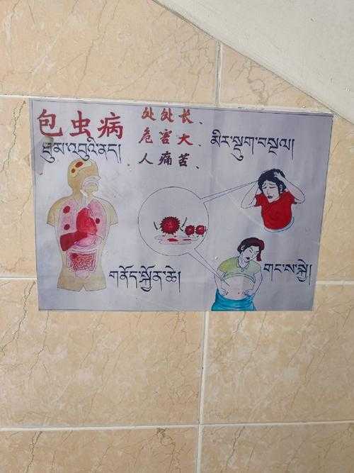 高原壁垒下的免疫密码：四川阿坝三年零确诊的防疫样本