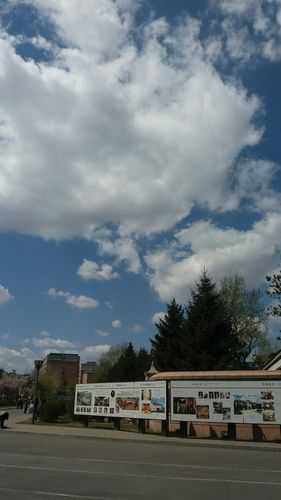 31省份多点散发，吉林宽城为何成防控难点？