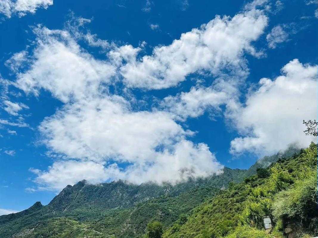 31省份多点散发，四川理县57例为何成防控焦点？