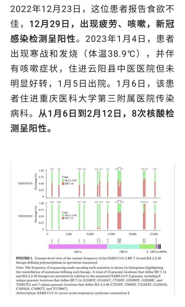 重庆应对春运返乡潮奥密克戎亚型高发期的防护措施