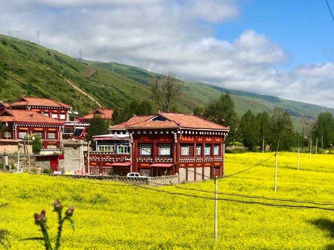 【31省份多点散发，西藏贡觉为何成防控焦点？】