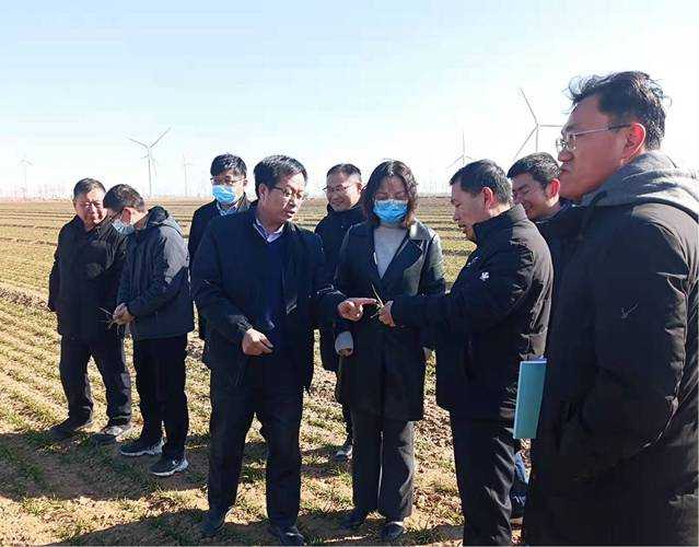 31省份多点散发，山东陵城区新增5例引关注