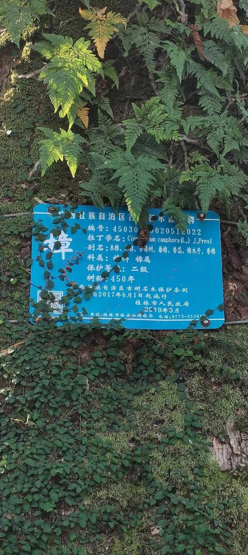 全国多点散发下的樟树谜团：江西单日新增12例背后的传播链