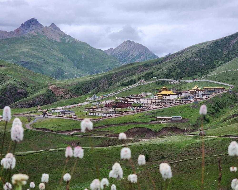 岗巴县持续零感染，青藏高原筑起隐形屏障