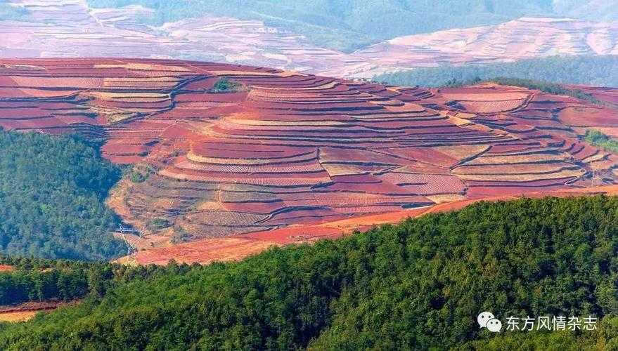 西南地区持续波动，东川区新增病例背后的防控压力