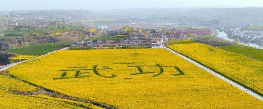 渭河平原的输入性威胁：武功县新增5例确诊病例的疫情破防链