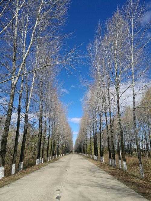 31省份多点散发，黑龙江南岔为何成防控焦点？