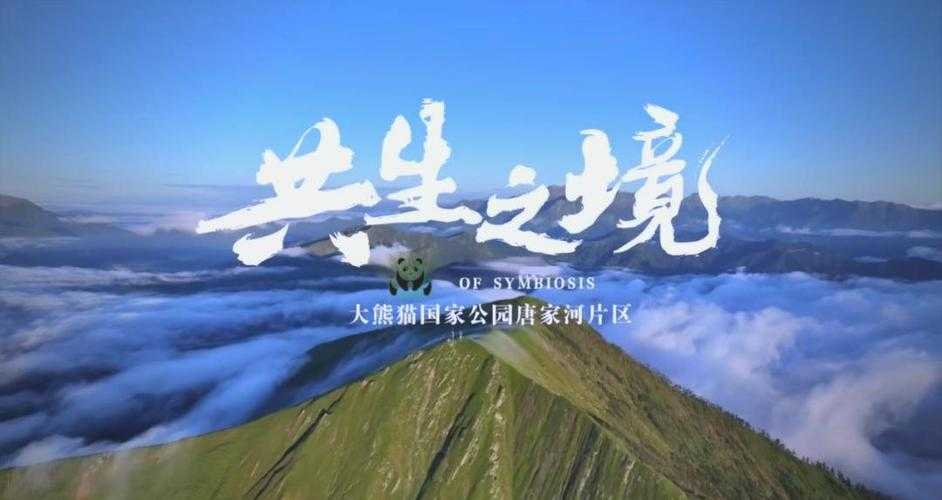 【青川县持续零确诊背后：四川盆地北缘的防疫地理密码】