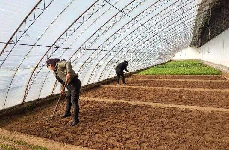 七星关区新增3例，西南疫情链现关键节点