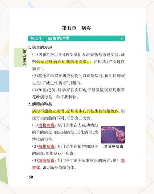 奥密克戎JN1变异株防控要点：疫情三期关键屏障解析