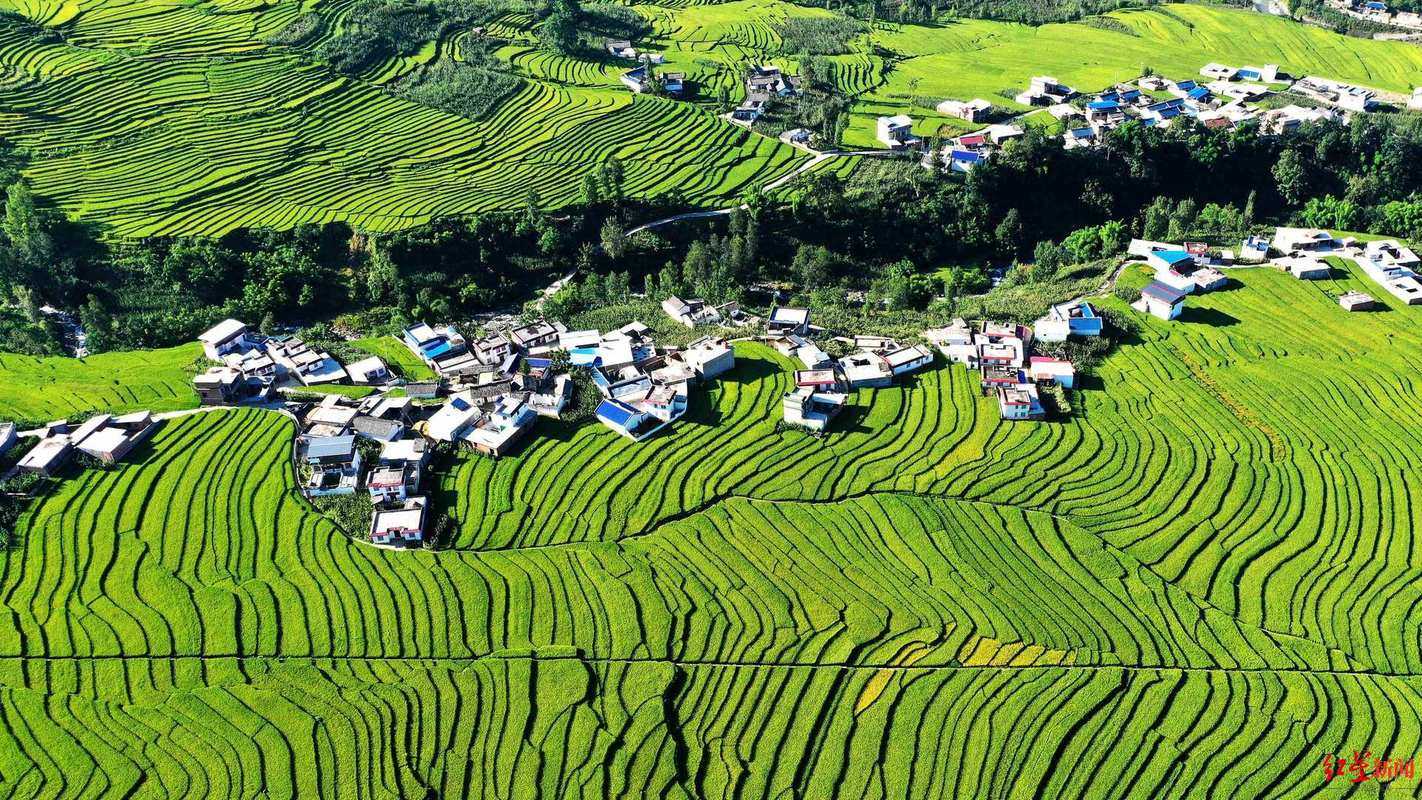 四川甘洛新增5例,疫情如何突破高原防线?