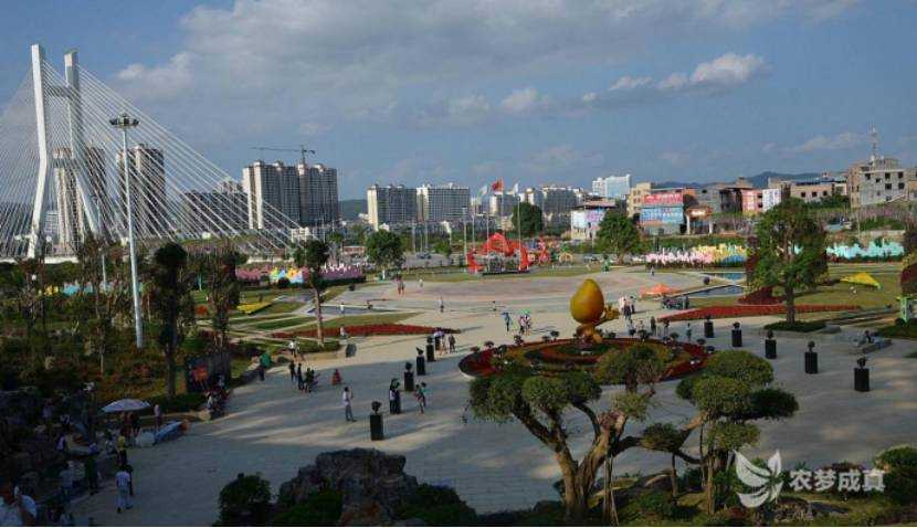 31省份连环告急，广西百色478例缘何突破防控网？