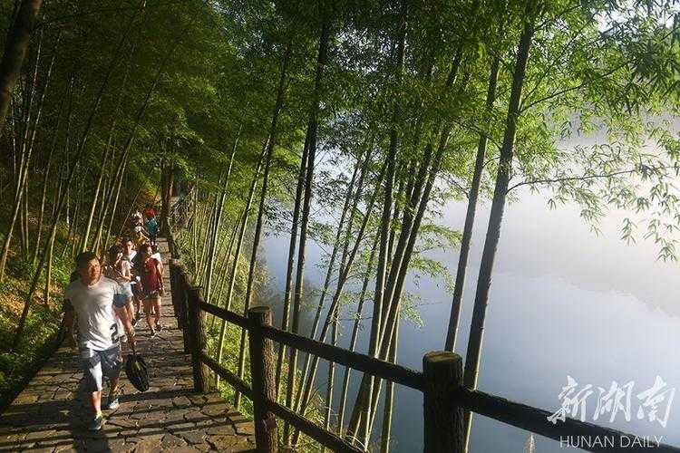 湖南资兴全域低感染之谜：湘南盆地如何筑起疫情防线？