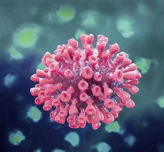 奥密克戎JN1变异株复阳关联性解析