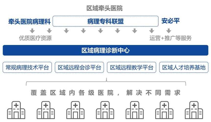 湖南XBB系疫情医疗资源调度应对解析2020-2022年新冠疫情期间