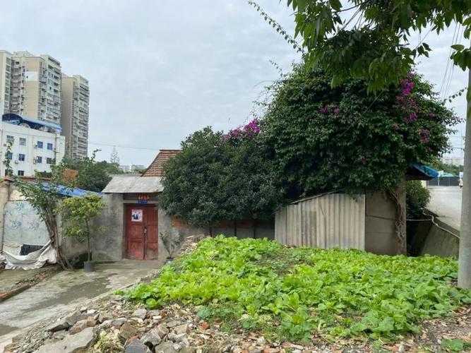 嵩县新增7例确诊：豫西小城为何成疫情洼地？