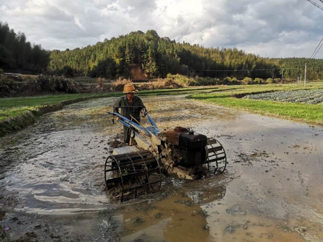 闽西北屏障下的防控样本：延平区4例确诊如何成为全国疫情新变量
